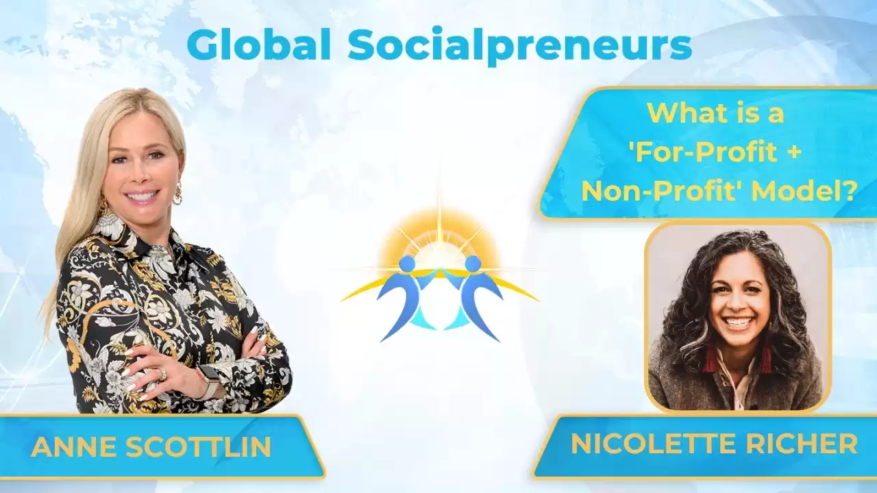 WHAT IS A FOR-PROFIT + NON-PROFIT MODEL?