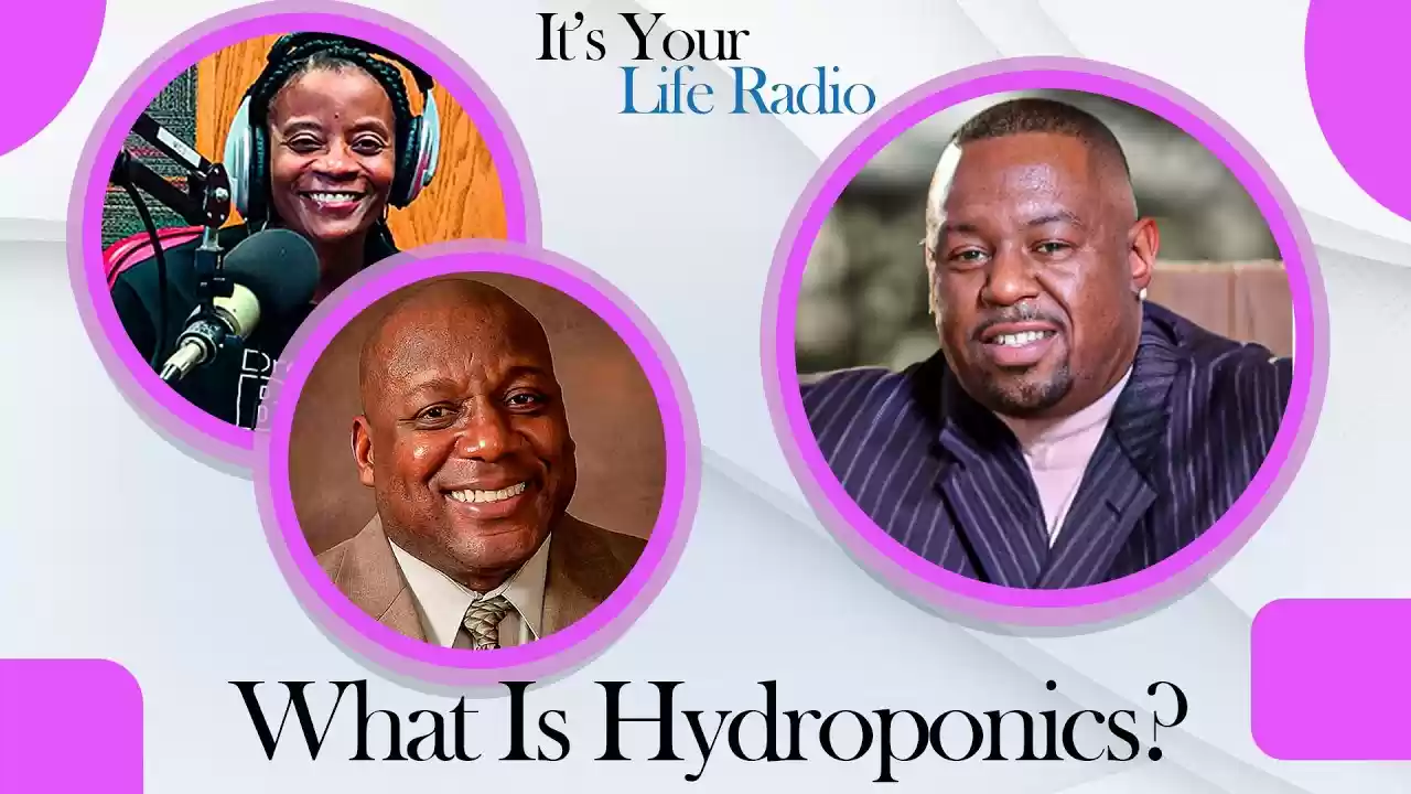 What Is Hydroponics? How Does Hydroponics Work?