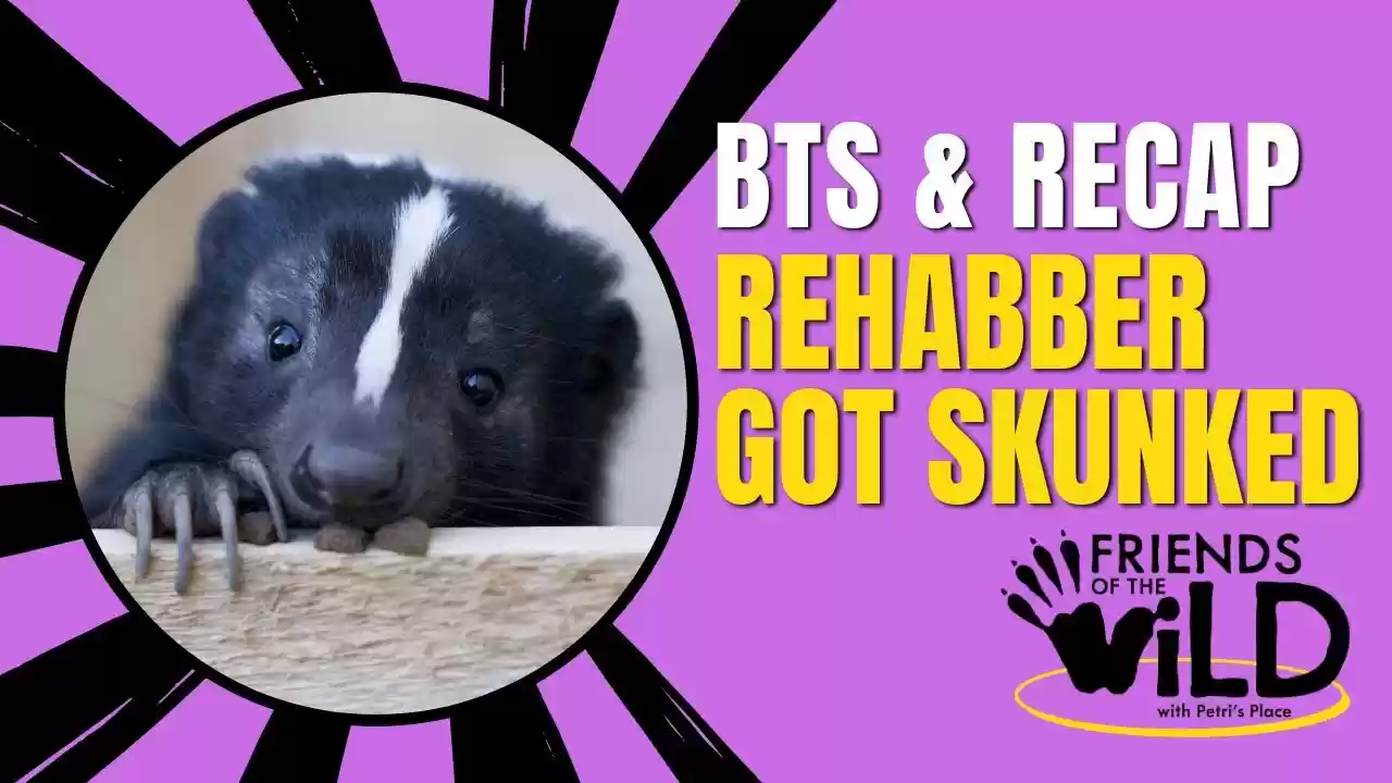 Friends Of The Wild: Episode 2 Behind The Scenes