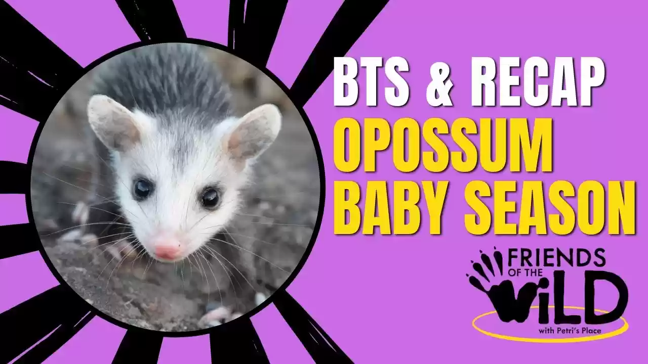 Friends Of The Wild: Episode 1 Behind The Scenes