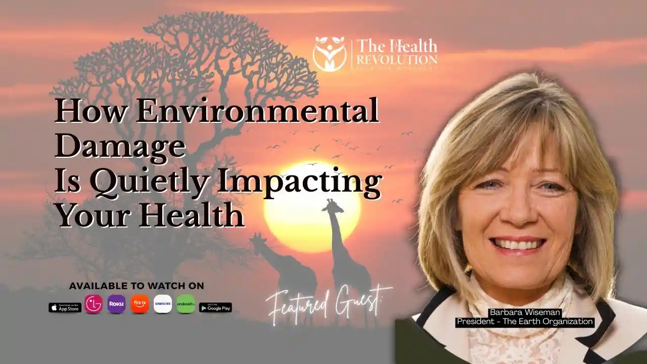 S6E3 How Environmental Damage Is Quietly Impacting Your Health, with Barbara Wiseman
