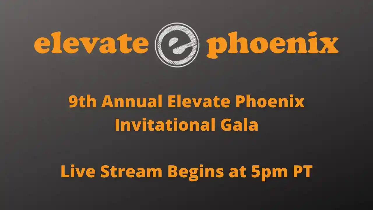 9th Annual Elevate Phoenix Gala and Auction